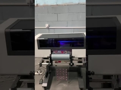 UV-Kasten-Druckmaschinen-Aufkleberdrucker DTF-Druckers TX800 mobiler